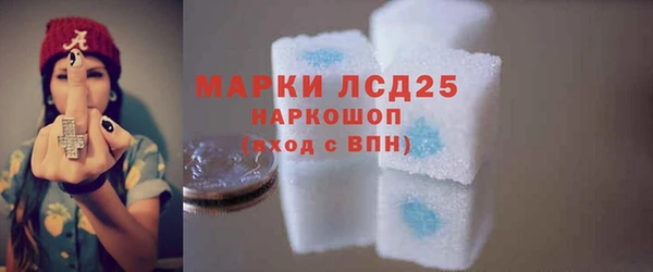 PSILOCYBIN Алзамай