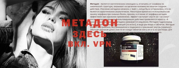PSILOCYBIN Алзамай