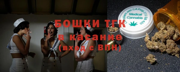 PSILOCYBIN Алзамай